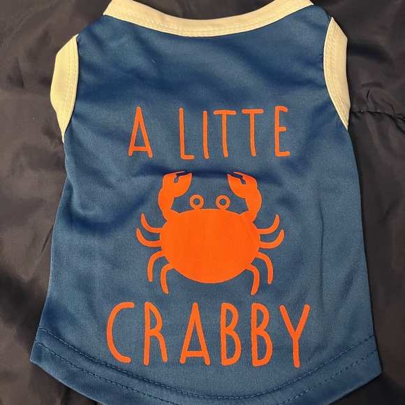 𝓼𝓽𝓾𝓭𝓲𝓸 74 𝓭𝓸𝓰 Other - Playful Blue Pet Shirt with Orange 𝓒𝓻𝓪𝓫 𝓝𝓦𝓞𝓣